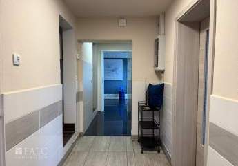 472534-Vorschaubild2