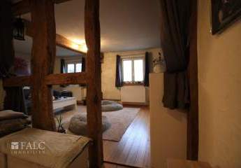 466392-Vorschaubild3