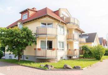 493242-Vorschaubild2