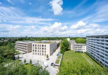 438569-Vorschaubild2