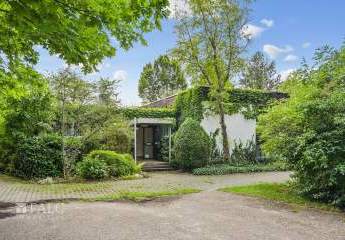 447680-Vorschaubild4