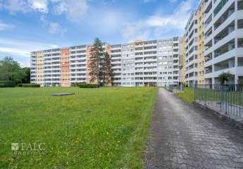 449558-Vorschaubild2