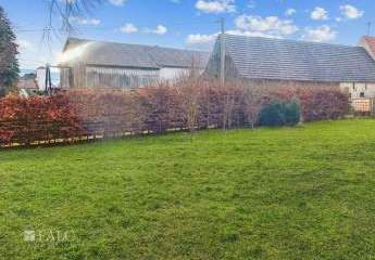 451341-Vorschaubild2