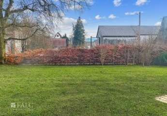 451341-Vorschaubild3