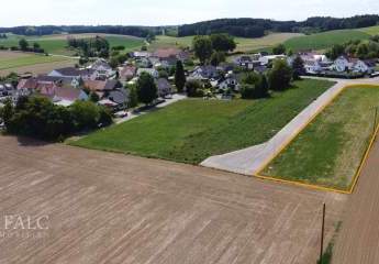 451342-Vorschaubild2