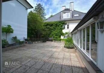 453547-Vorschaubild4