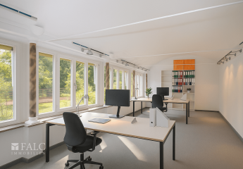 458466-Vorschaubild3