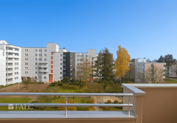 462167-Vorschaubild4