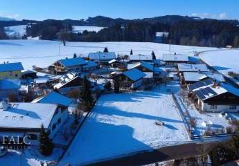 469460-Vorschaubild4