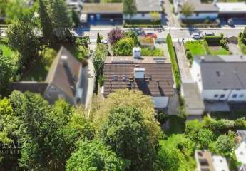 449771-Vorschaubild4