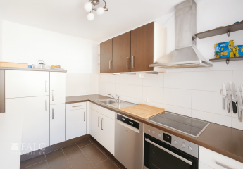 471154-Vorschaubild3