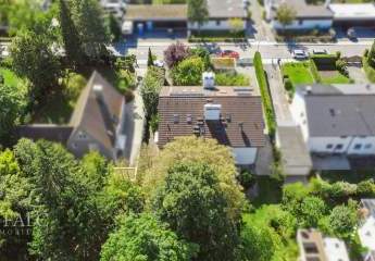 449771-Vorschaubild3