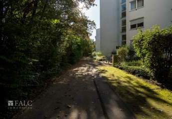 399517-Vorschaubild2