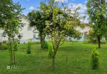 444473-Vorschaubild3