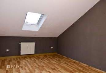 462916-Vorschaubild3