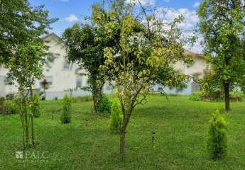 475317-Vorschaubild3