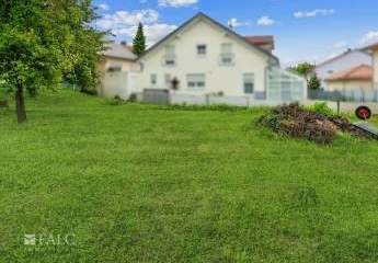 475317-Vorschaubild4