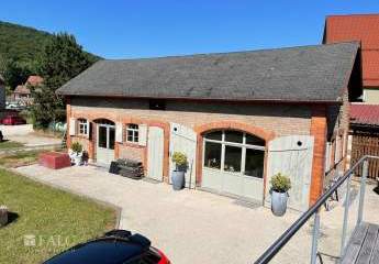 460915-Vorschaubild3