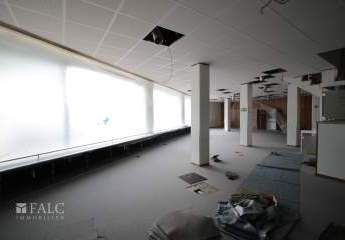 425738-Vorschaubild3