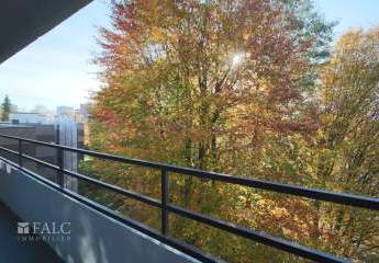 454295-Vorschaubild2