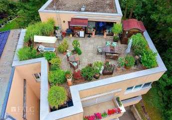 436924-Vorschaubild4