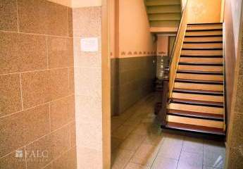 472911-Vorschaubild2