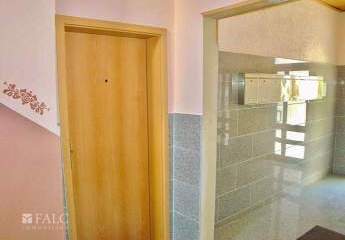 472911-Vorschaubild3