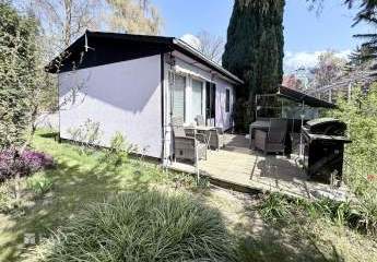 486012-Vorschaubild3