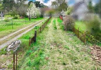 486246-Vorschaubild3