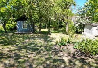 425547-Vorschaubild3