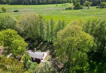 425547-Vorschaubild4