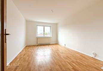 459658-Vorschaubild3