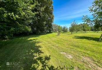 437650-Vorschaubild3