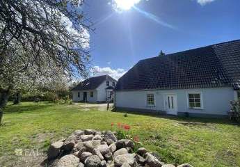 476418-Vorschaubild2