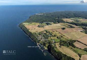 477695-Vorschaubild4