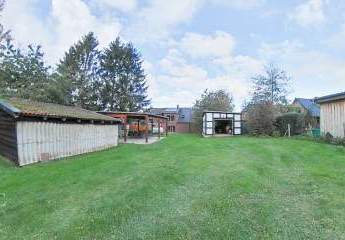 482676-Vorschaubild4