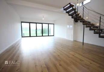 427722-Vorschaubild3