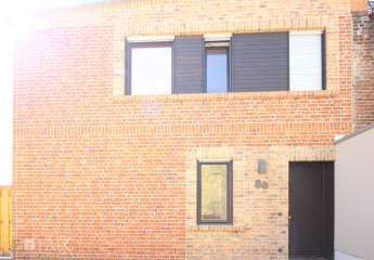 443193-Vorschaubild4