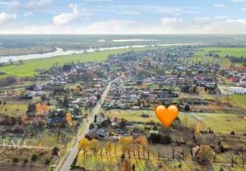 368273-Vorschaubild4