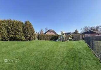 478541-Vorschaubild3