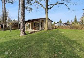 479586-Vorschaubild3