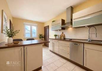 482724-Vorschaubild3