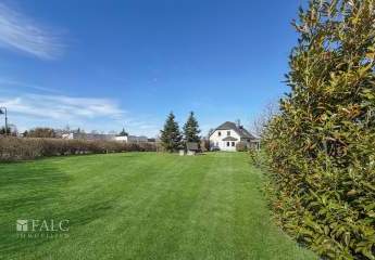 478397-Vorschaubild4