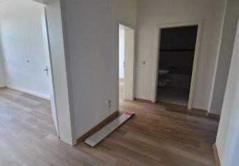 430333-Vorschaubild3
