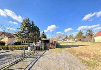 478355-Vorschaubild2