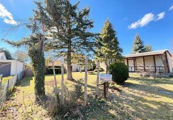 478355-Vorschaubild3