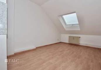 420569-Vorschaubild3