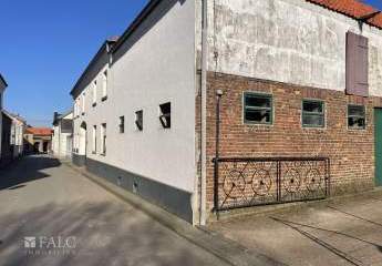 443719-Vorschaubild3