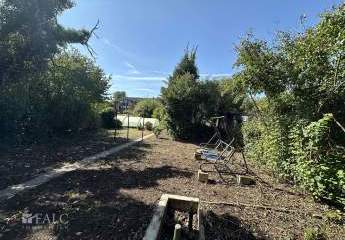 444128-Vorschaubild3