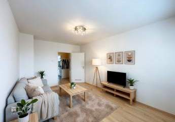 452992-Vorschaubild2